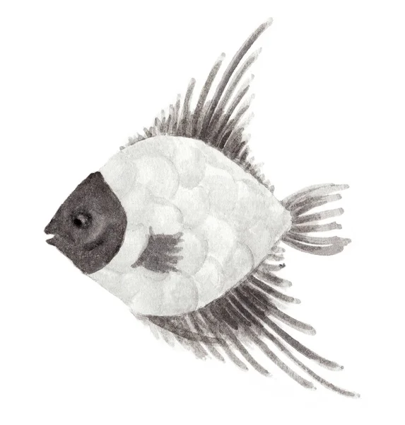 Poisson Aquarelle Dessin Peint Main Sur Fond Blanc — Photo