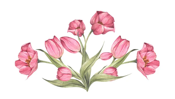 Rosa Tulpen Und Blätter Tulpenstrauß Florale Komposition Aquarellillustration — Stockfoto