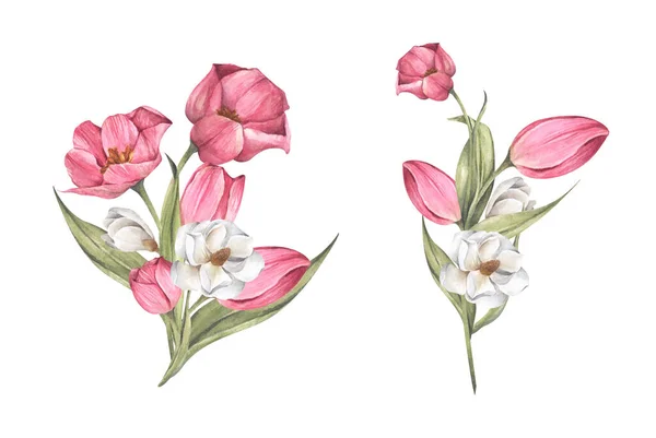 Bir Buket Lale Manolya Çiçek Kompozisyonu Suluboya Çizimi — Stok fotoğraf