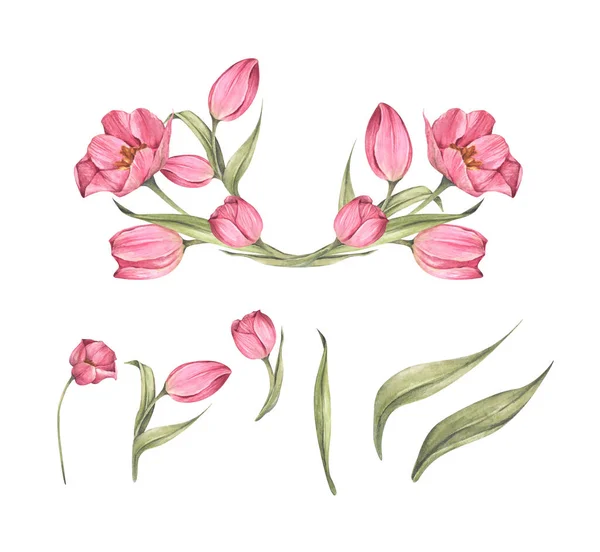 Set Tulipani Foglie Rosa Bouquet Tulipani Composizione Floreale Illustrazione Acquerello — Foto Stock