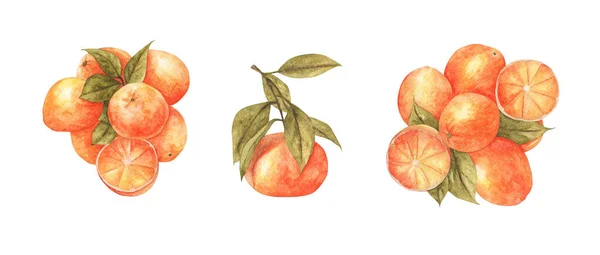 Ensemble Fruits Orange Avec Feuille Isolé Sur Fond Blanc Illustration — Photo