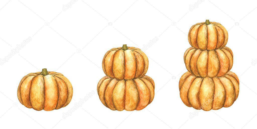 Set of Pumpkins. Isolated on white background. Watercolor illustration.