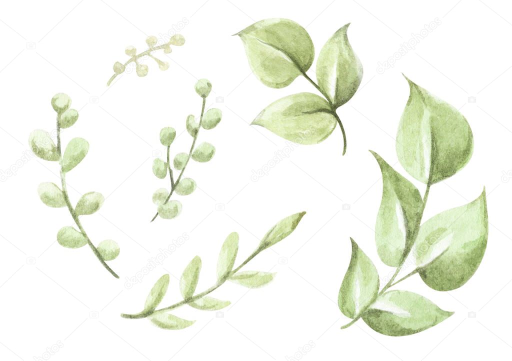Green leaves elements collection - for bouquets, wreaths, arrangements, wedding invitations, anniversary, birthday, postcards, greetings, cards, logo. Watercolor floral illustration set.