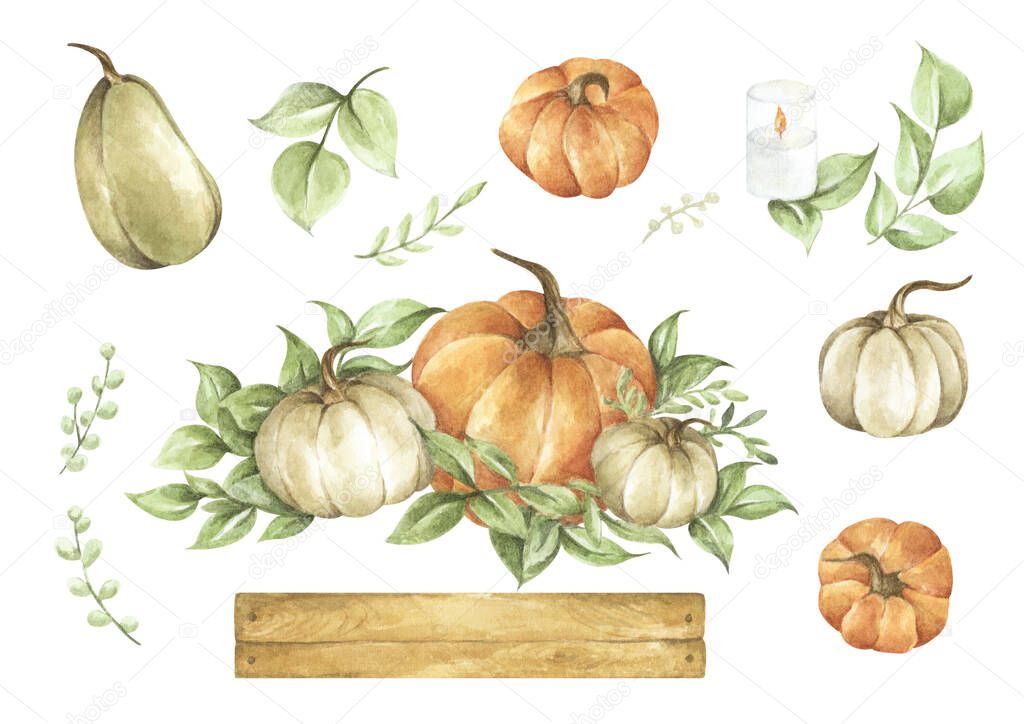 Watercolor pumpkins set. Autumn decoration floral design. Isolated on white background. Botanical illustration. Thanksgiving card.