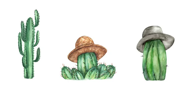 Zestaw Kaktusów Odizolowany Białym Tle Ilustracja Akwarela — Zdjęcie stockowe