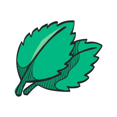 Fesleğen renkli resim olarak simge bırakır. Yemek malzemesi aromatik organik salata.