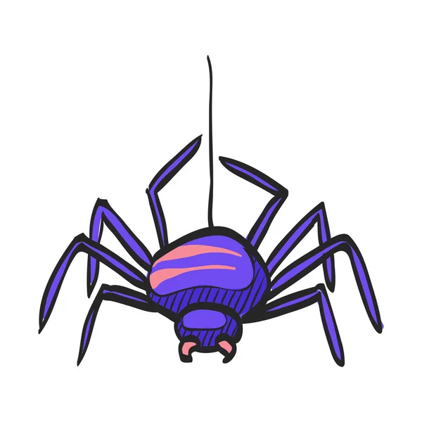 Icono Araña Dibujo Color Animal Arácnido Espeluznante Halloween — Vector de stock