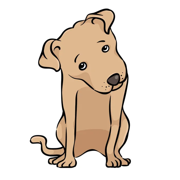 Perro Dibujado Mano Cabeza Inclinada Ilustración Color Animal — Vector de stock