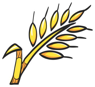 Renkli çizimde buğday simgesi. Mısır gevreği tohumları glüten hasadı pişiriyor.