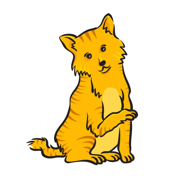 Yapımı Evcil Kedi Hayvan Rengi Illüstrasyonu — Stok Vektör