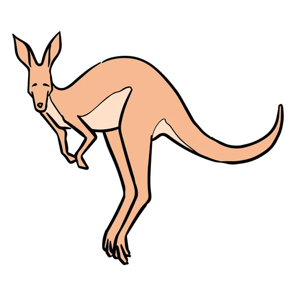Çizimi Zıplayan Kanguru Vektör Illüstrasyonu — Stok Vektör