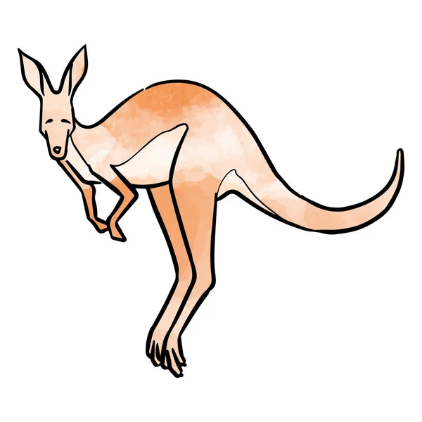 Suluboya Tarzı Çizimi Zıplayan Kanguru — Stok Vektör