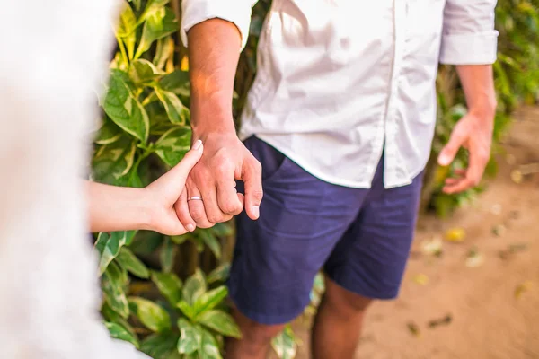 Bride and groom holding his hands — Stock Photo, Image