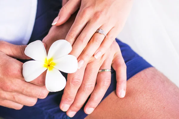 Manos con anillo de boda y flores Frangipani o Plumeria — Foto de Stock