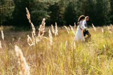Gelin ve Damat Düğün gününde alanına yürüme siluet