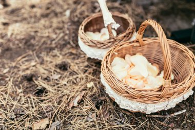 gül yaprakları ile sepeti hazırlamak düğün töreni kullanmak için