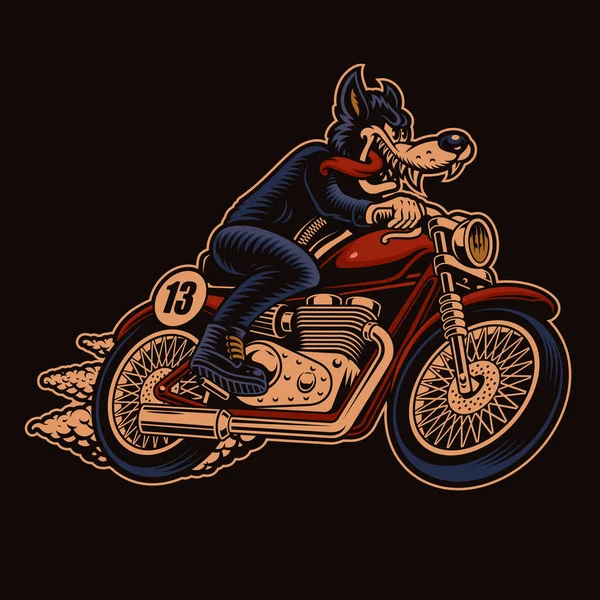 A colorful vector illustration of a wolf biker on a motorcycle