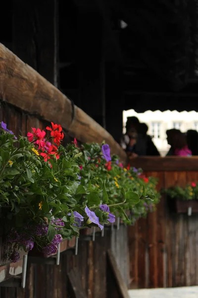 Köprüde çiçek dekorasyon