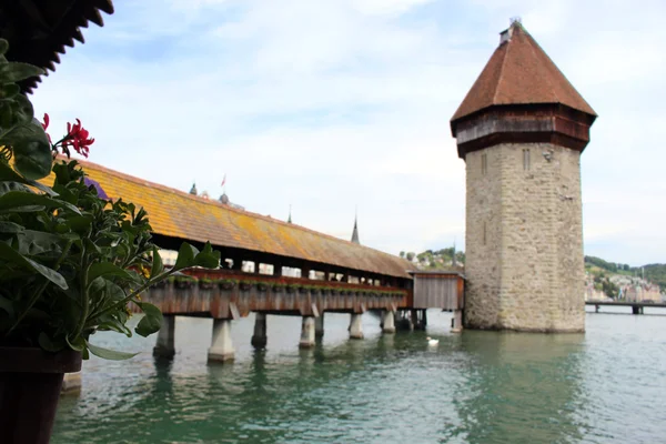 Eski köprünün ve kule Dört kanton Gölü, İsviçre.