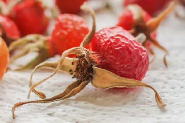 Briar çilek kurutulmuş