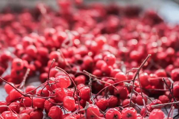 película de terror viendo joven