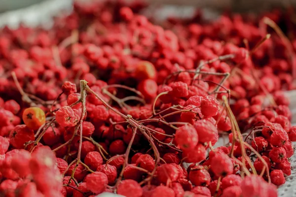 película de terror viendo joven
