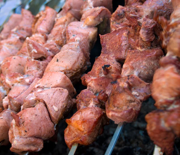 Grilled mea skewers vegetables barbecue — Stock Photo, Image