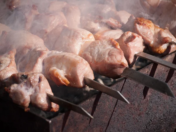 Grilled mea skewers vegetables barbecue — Stock Photo, Image