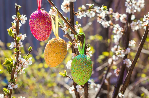 Œufs de Pâques sur un arbre à fleurs Images De Stock Libres De Droits