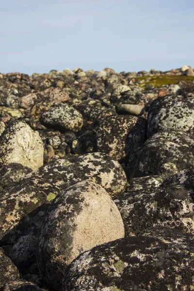 Dragon Eggs Beach. Pebble beach on the southern coast of the Arctic Ocean, Teriberka, Murmansk region.