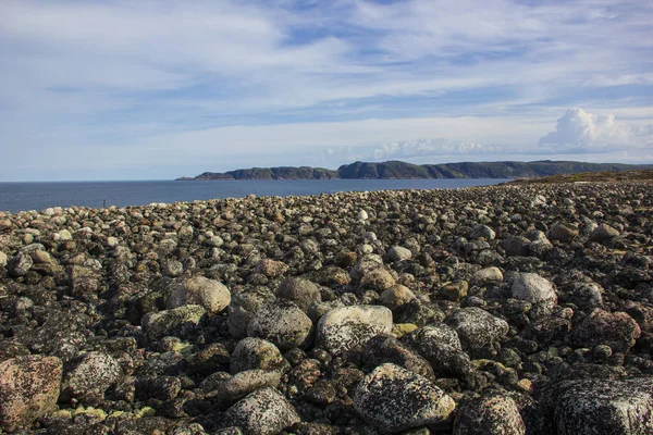 Παραλία Dragon Eggs Παραλία Βότσαλα Στη Νότια Ακτή Του Αρκτικού — Φωτογραφία Αρχείου