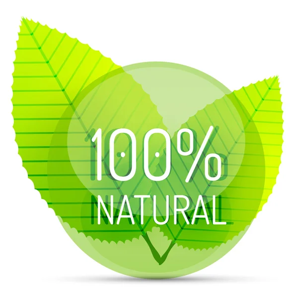 Ecoconcepto verde - natural — Vector de stock