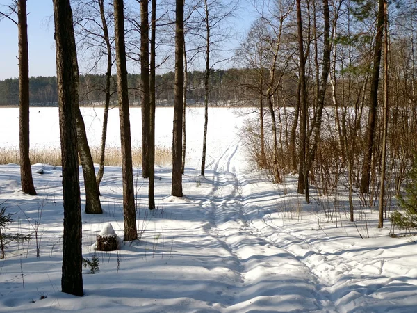 Winterlandschaft — Stockfoto