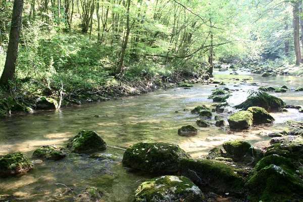 Річка — стокове фото
