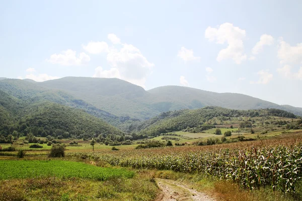 Rural landscape — Stock Photo, Image