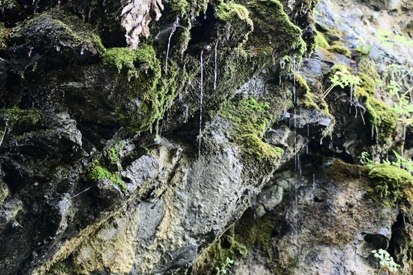 Ströme des Wassers — Stockfoto