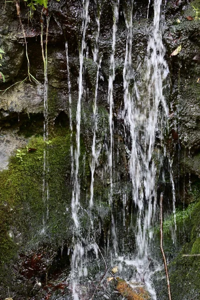 Les ruisseaux de l'eau — Photo