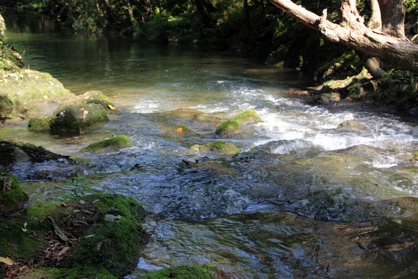 Río — Foto de Stock