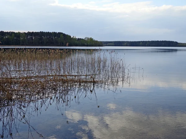 Вечір озеро — стокове фото