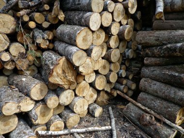 yakacak odun