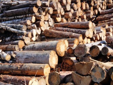 yakacak odun