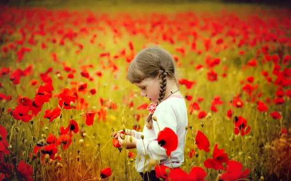 Little girl in the field — Stock Photo, Image