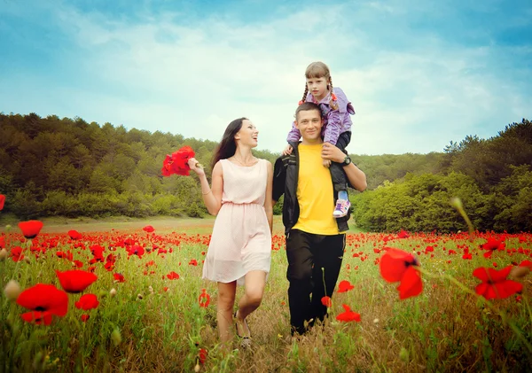 Wandelen op het veld en gelukkige familie — Stockfoto