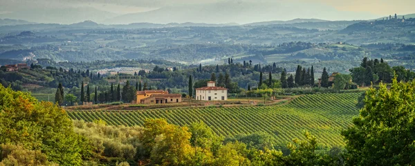 Campos vista en Toscana — Foto de Stock