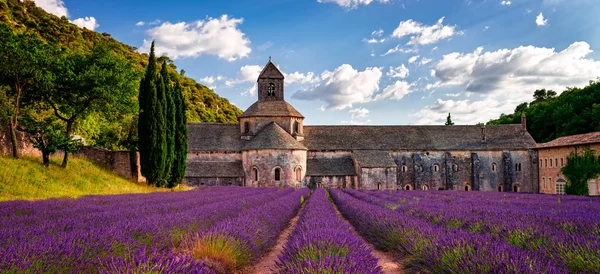 Beautiful abbey view — Stock Photo, Image