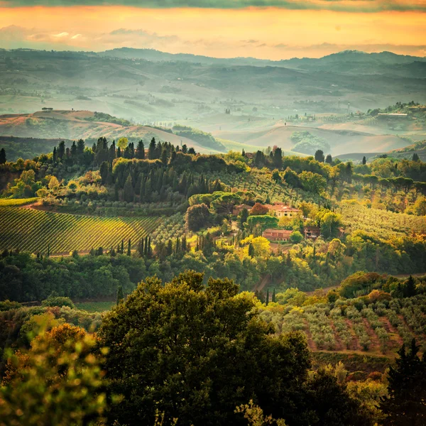 Fälten Visa i Toscana — Stockfoto
