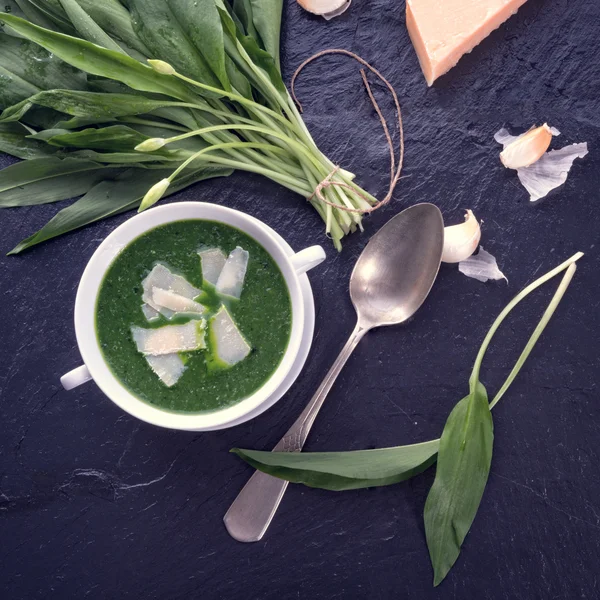 Sopa de alho selvagem — Fotografia de Stock