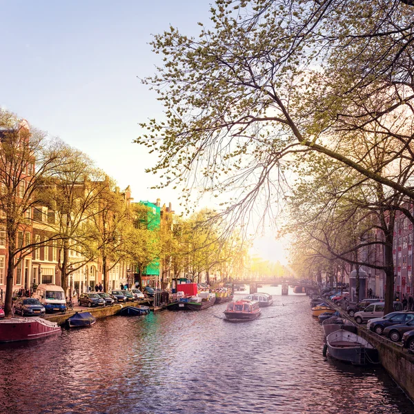 Serata primaverile ad Amsterdam — Foto Stock