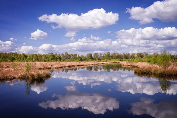 Vista del paesaggio della brughiera — Foto Stock