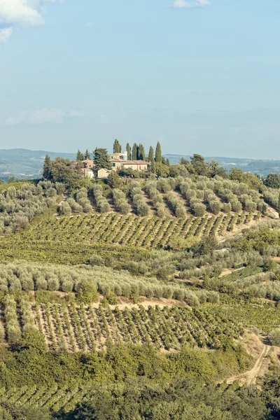 Veduta dei campi in Toscana — Foto Stock